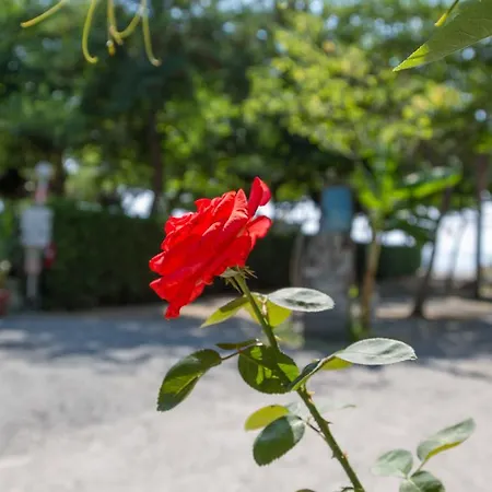 La Focetta Sicula Campsite